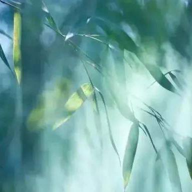 尼尔李