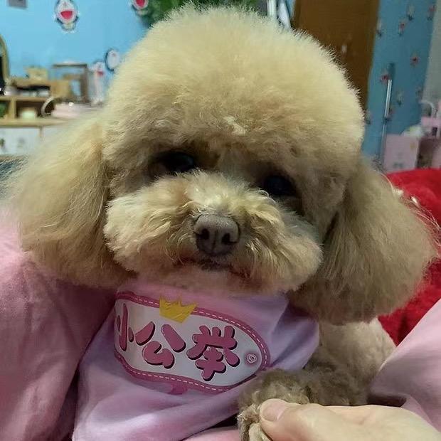 满心欢喜❤️