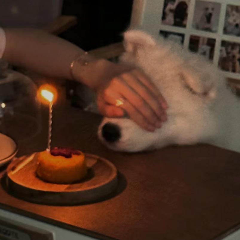 小狗不是派大星