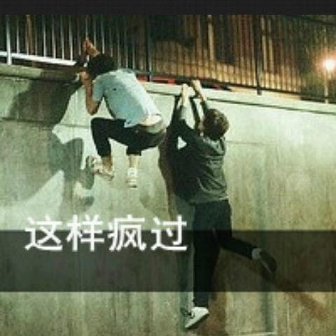 紫凌枫（继续爱）