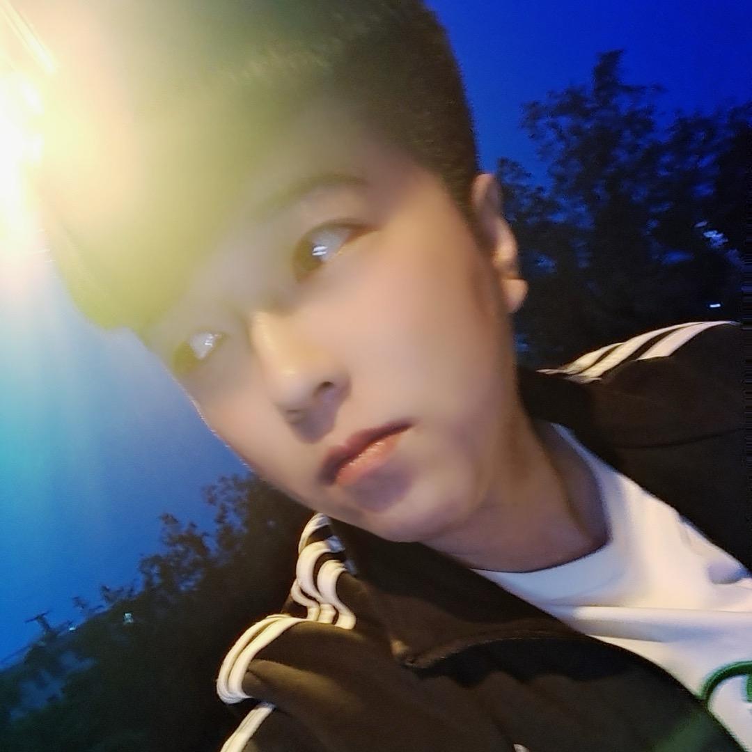 董尛磊