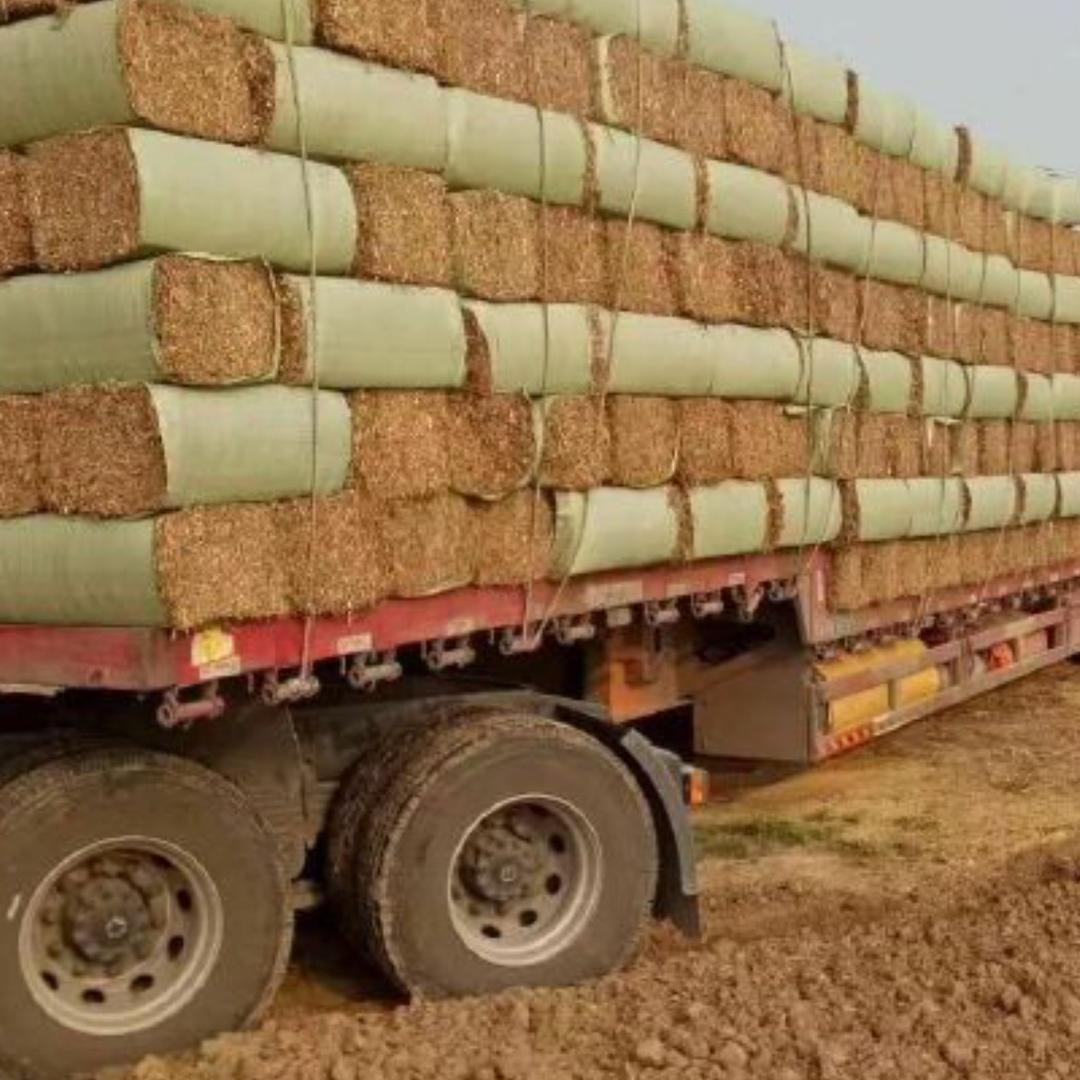 泰和县沙村天帮稻草发展中心