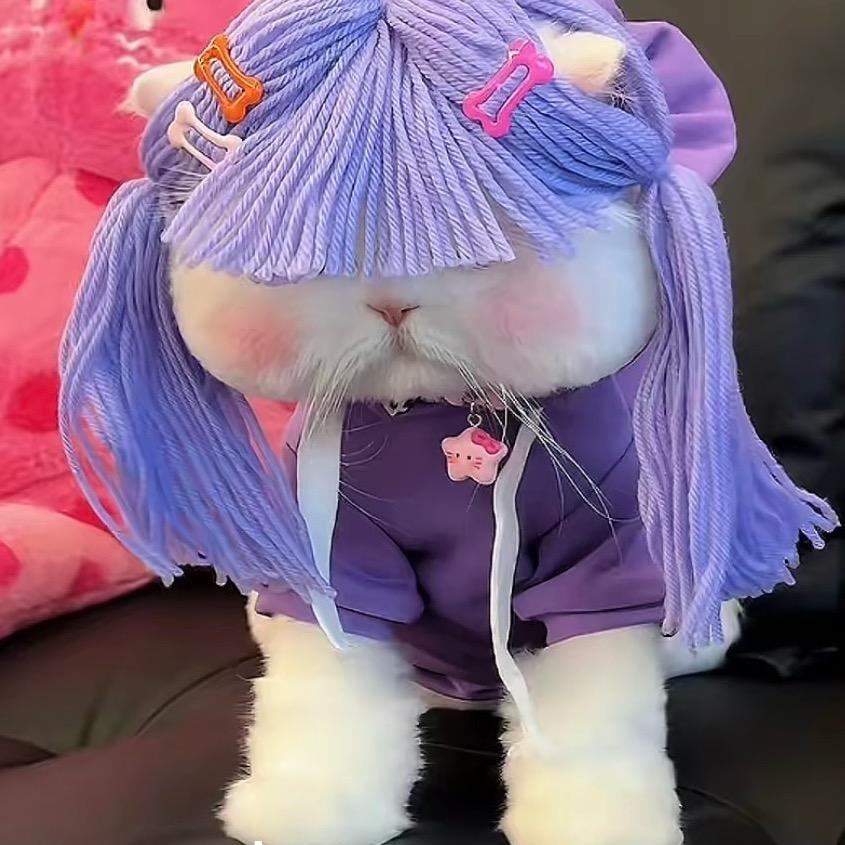 小猪佩奇🍒