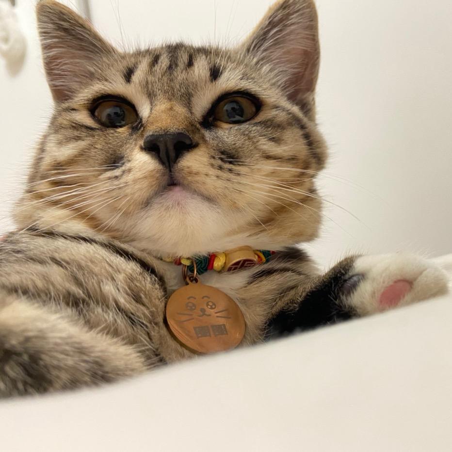 🌈宝宝不是海绵🌈