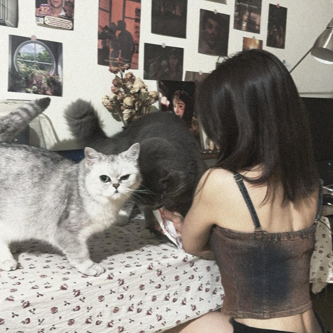 陈晨骑不快 拒绝连赞