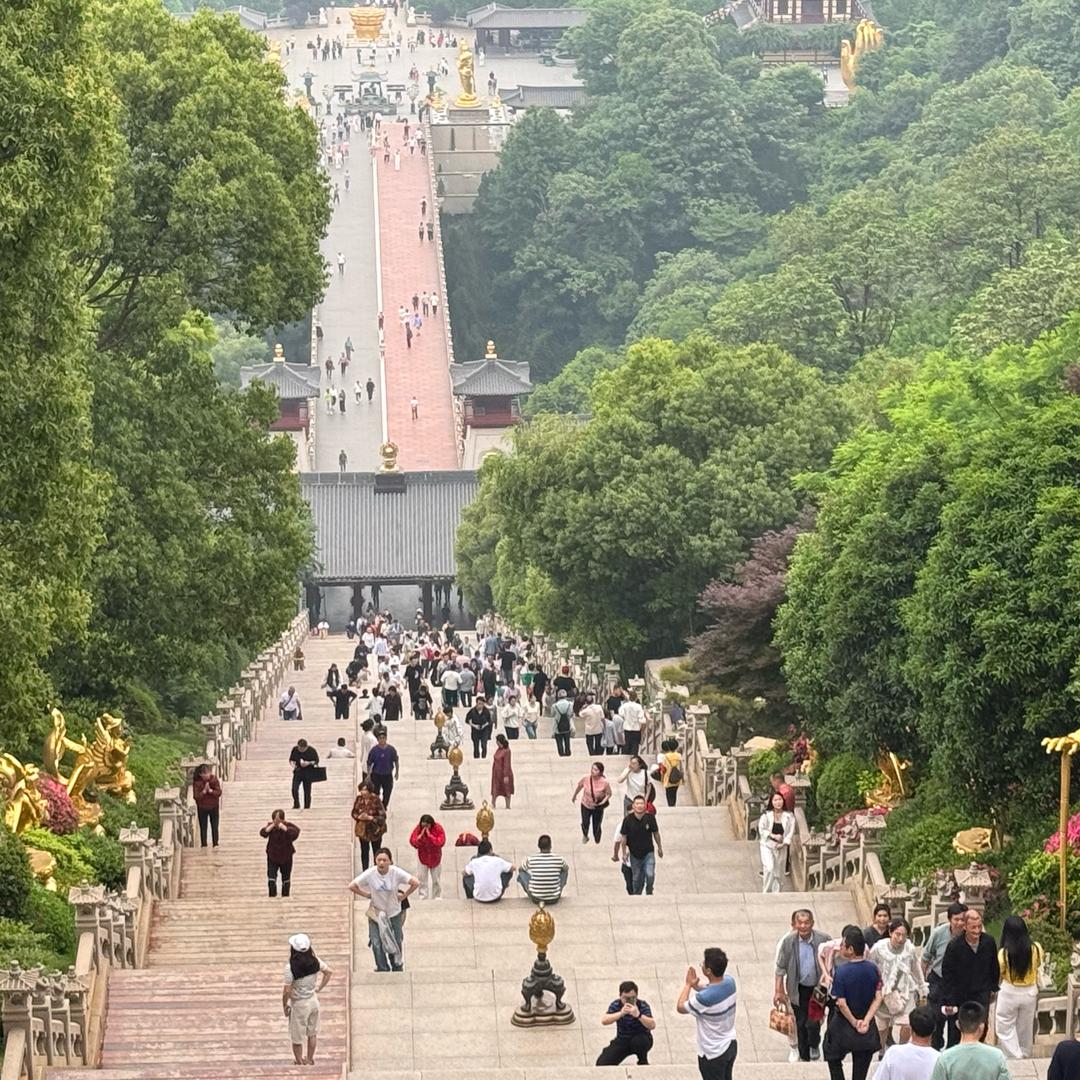 萤火虫❗️❗️❗️