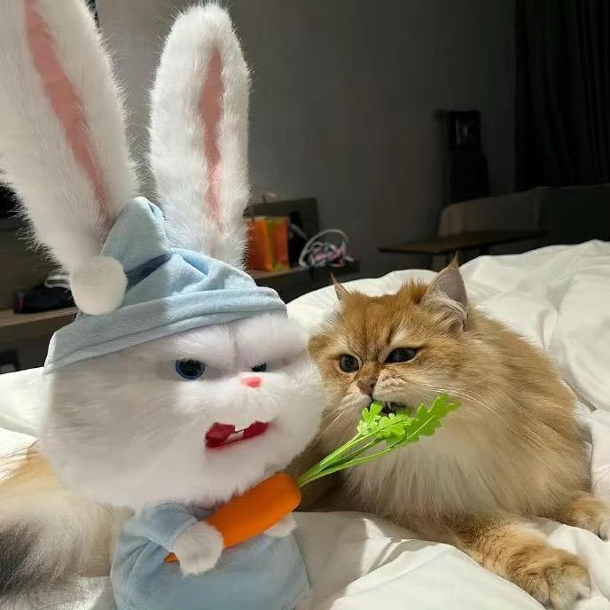 ：王嘉一