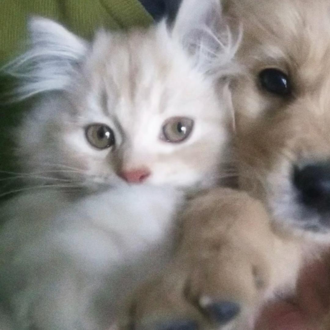 我男朋友有点萌有点帅既聪明还能干🦴