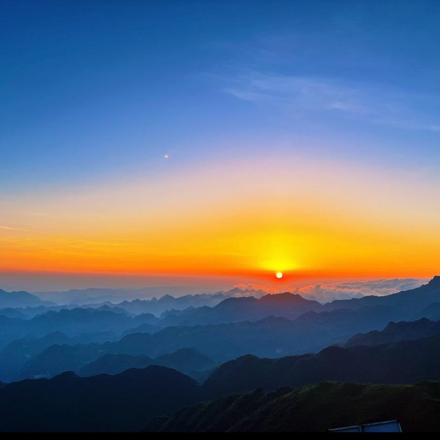 海马先生●‿●