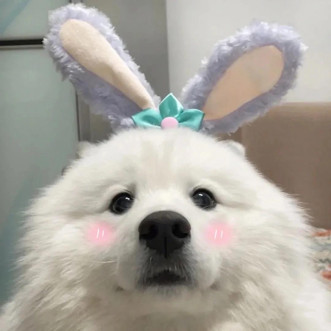 蓝莓怪xxxF