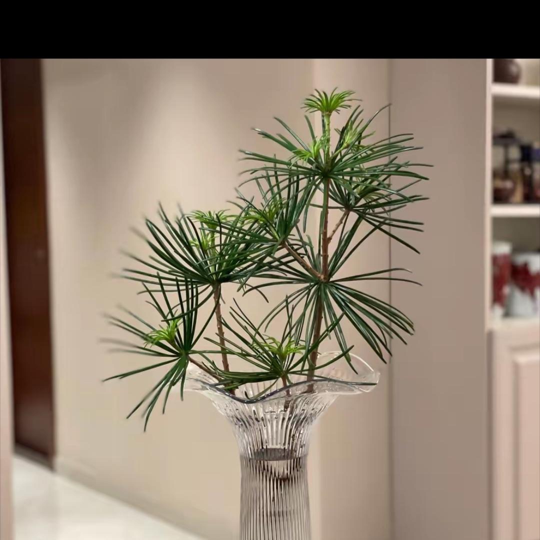 王好好