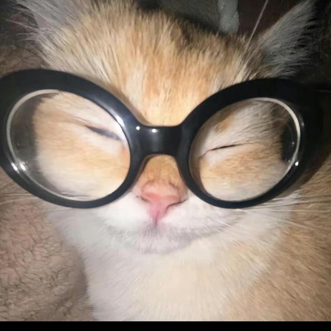 YNY_66