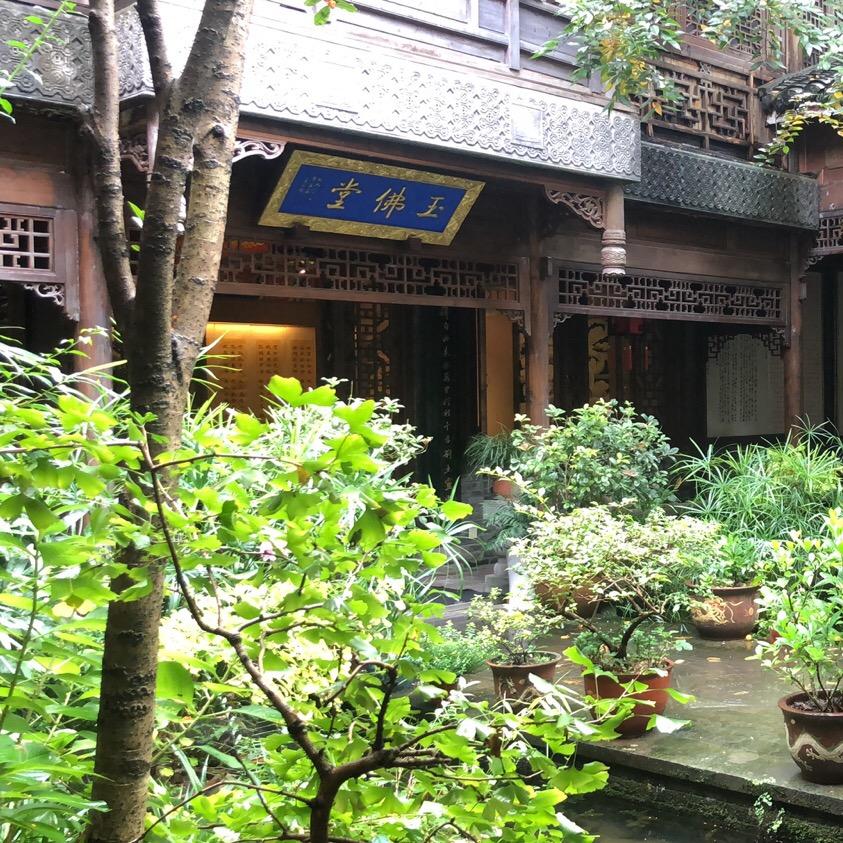 绿野游狼
