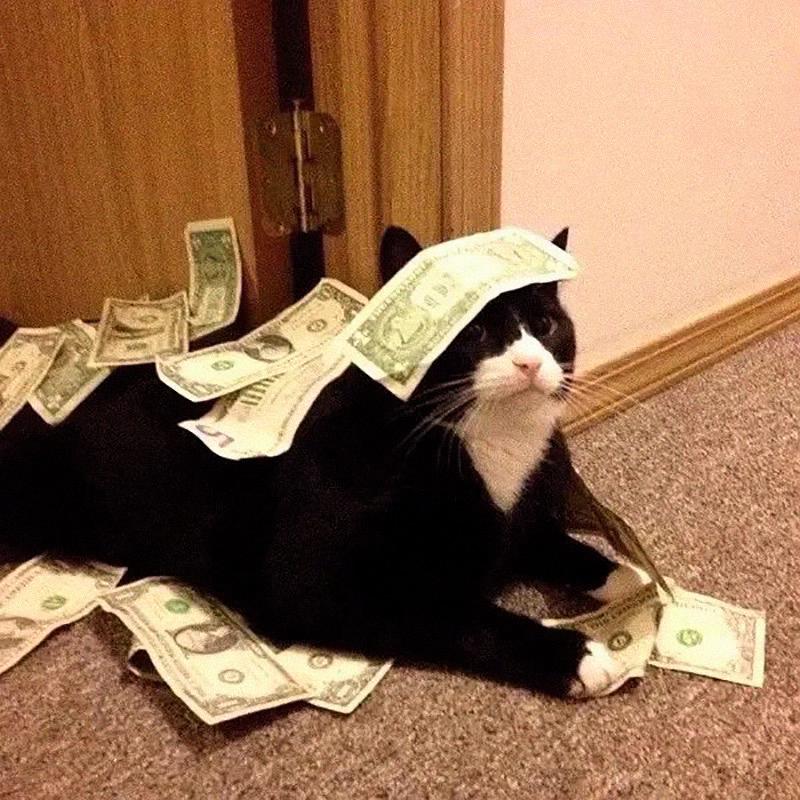 去码頭整点薯条