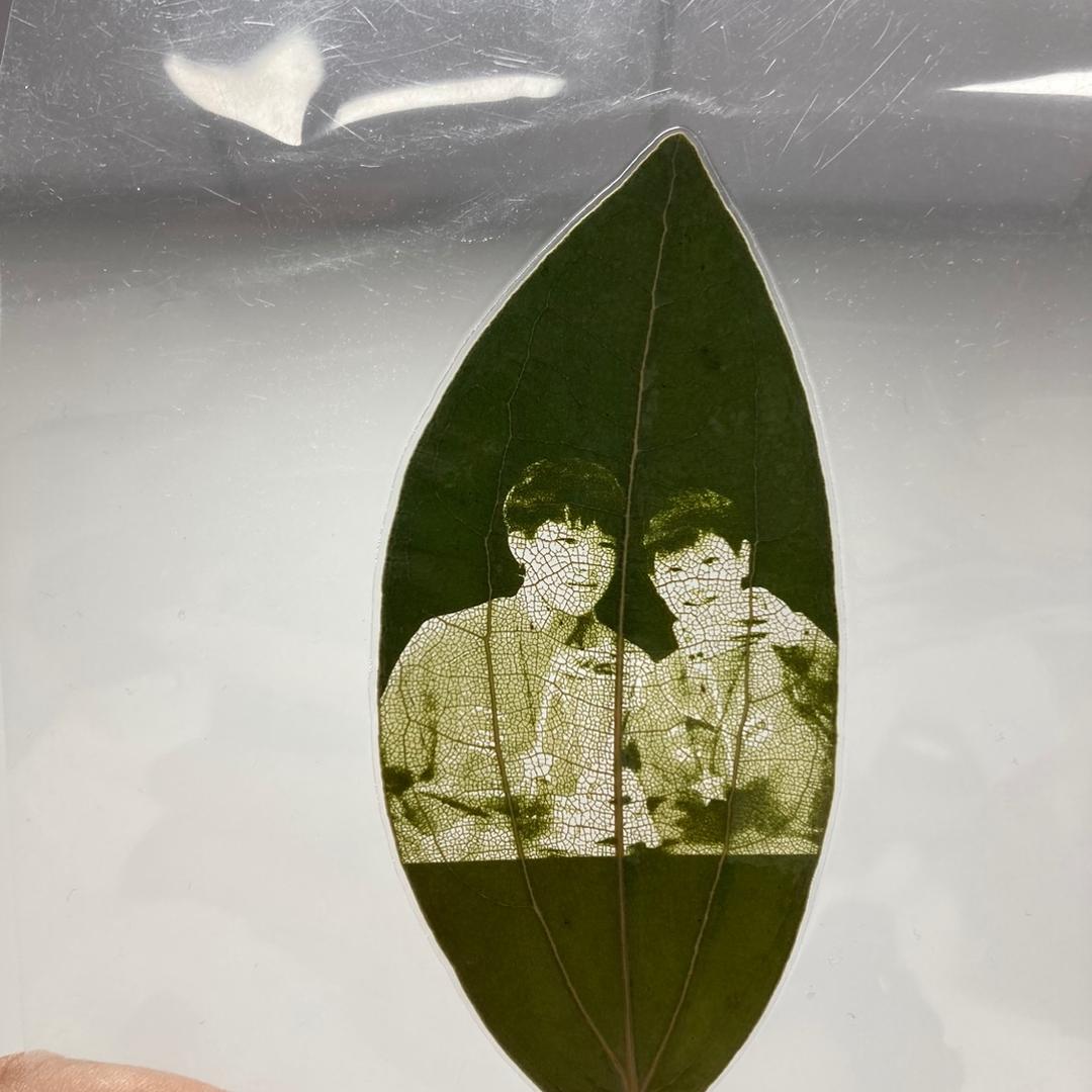 尘尘叶雕