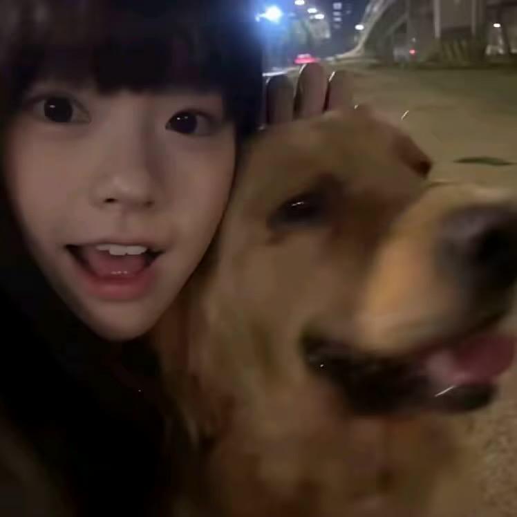 xiao-雨🎀
