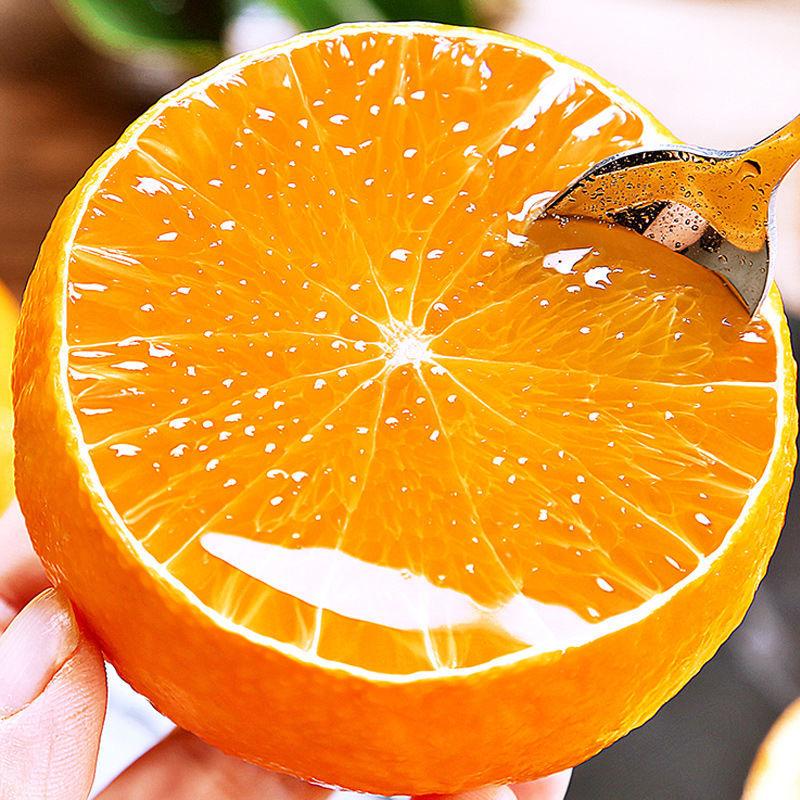 候主任助农（爱媛果冻橙季）