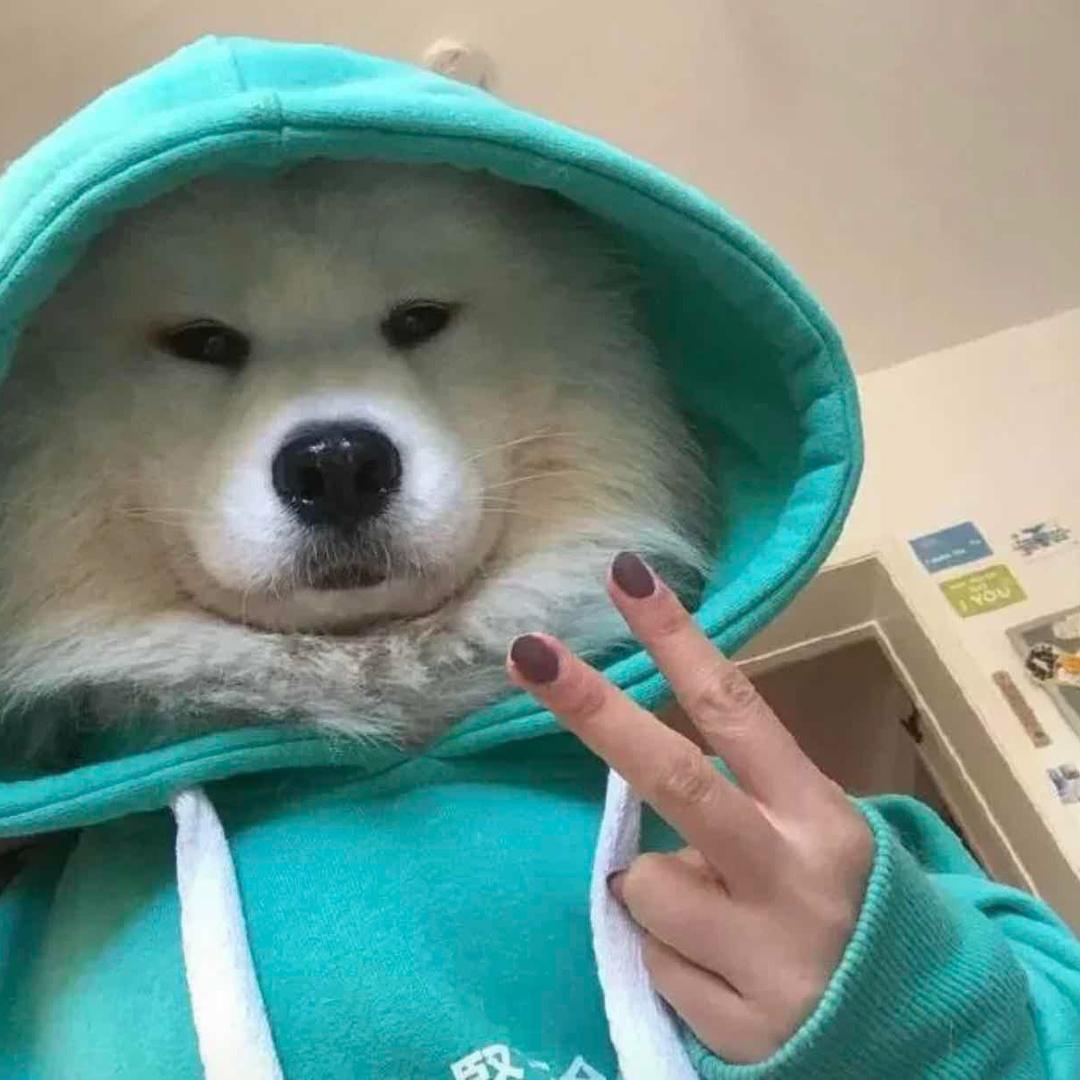 Zik