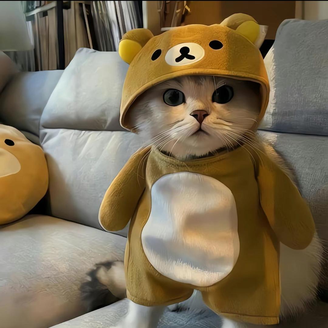 睡醒了..