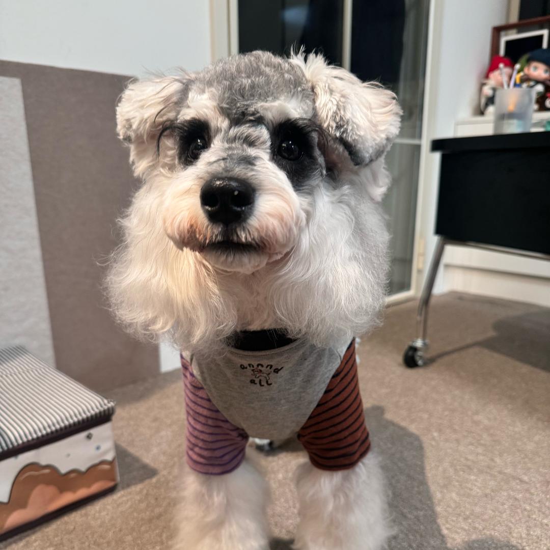 🌈潘潘d小啾啾