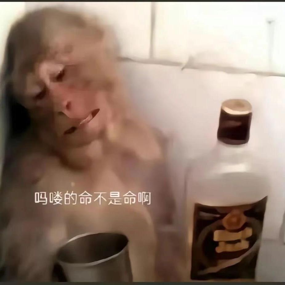 表哥表弟跑刀的一天（三角洲跑刀版）