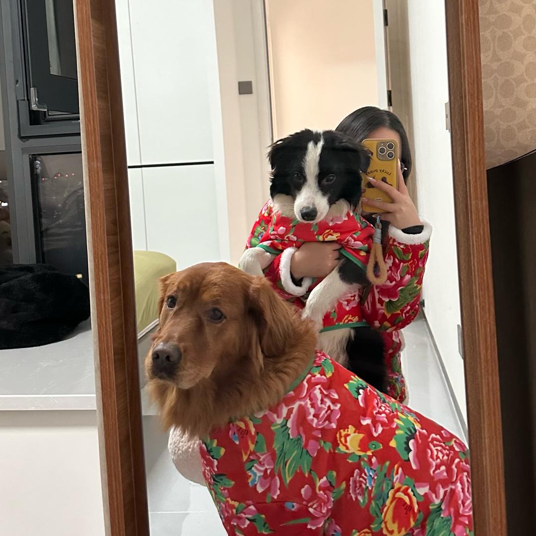 没头脑和不高兴