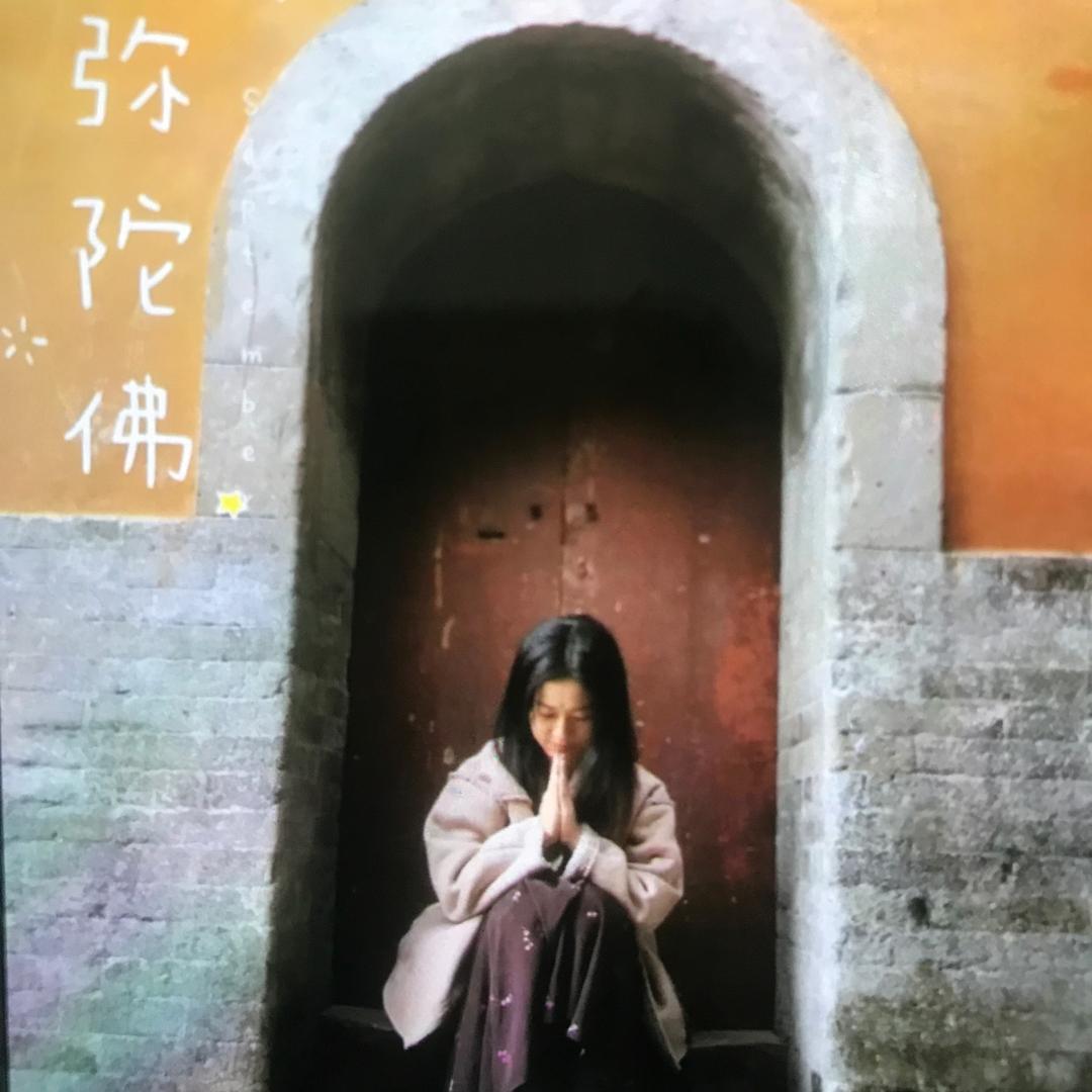 书虫传媒