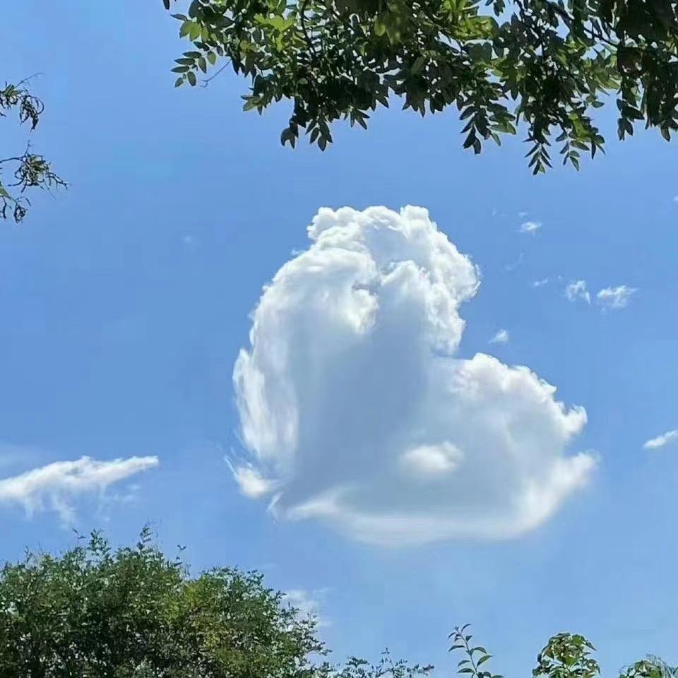 静静宝妈
