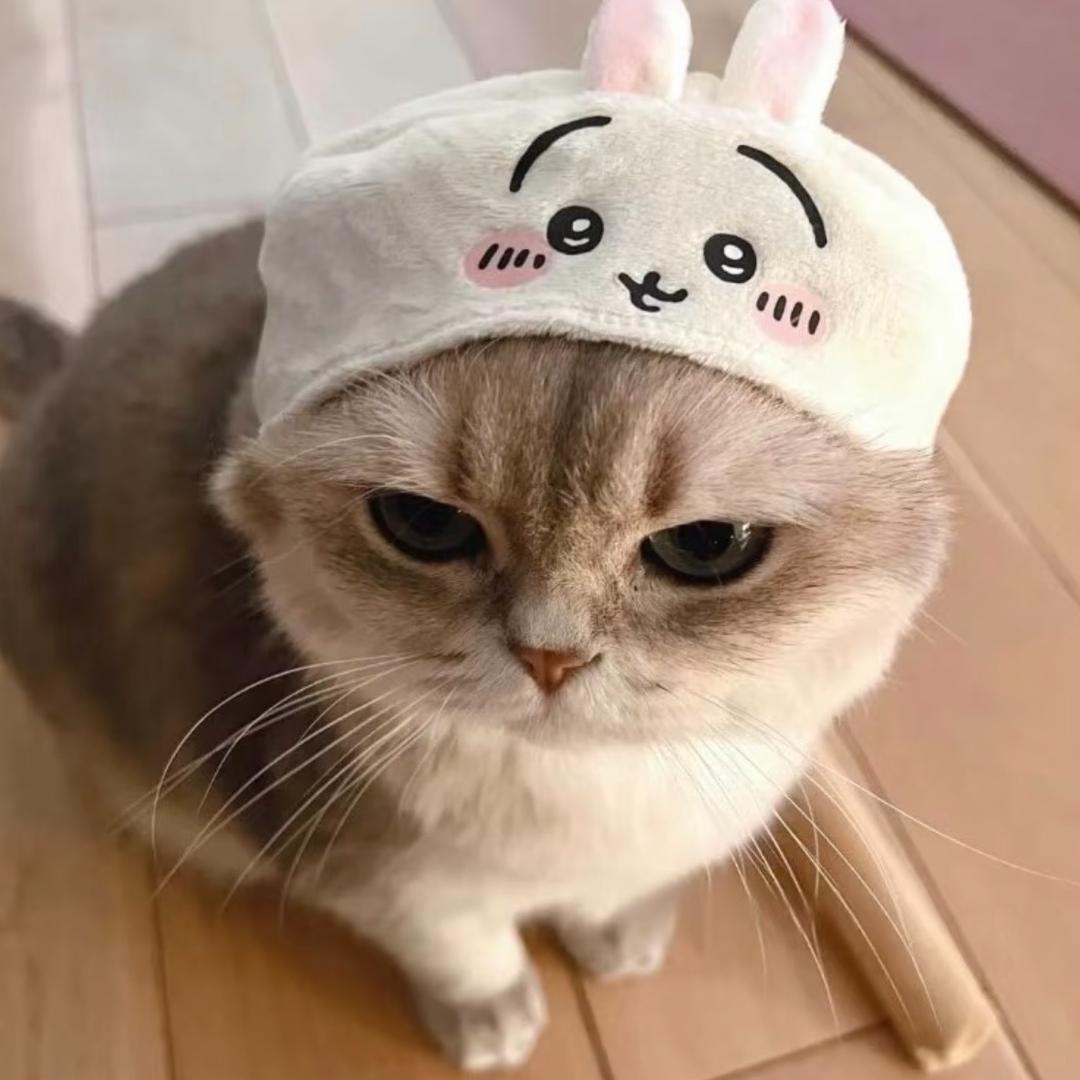 羊脂球
