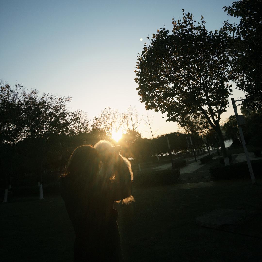 大力女士不爱吃香菜