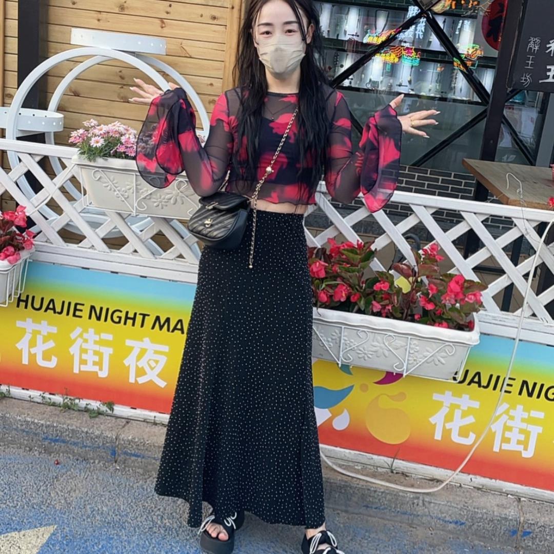 聪聪