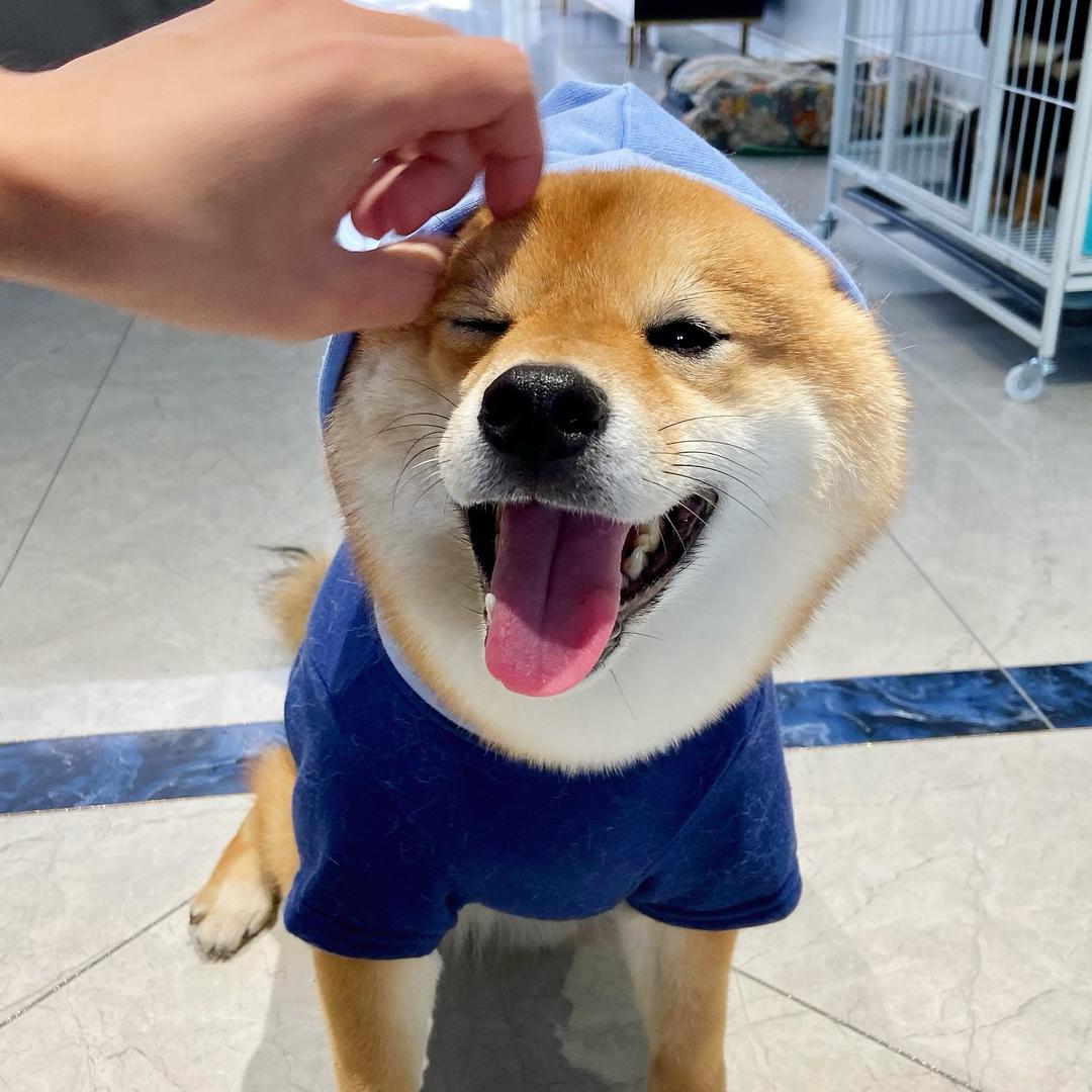 靓仔爱豆