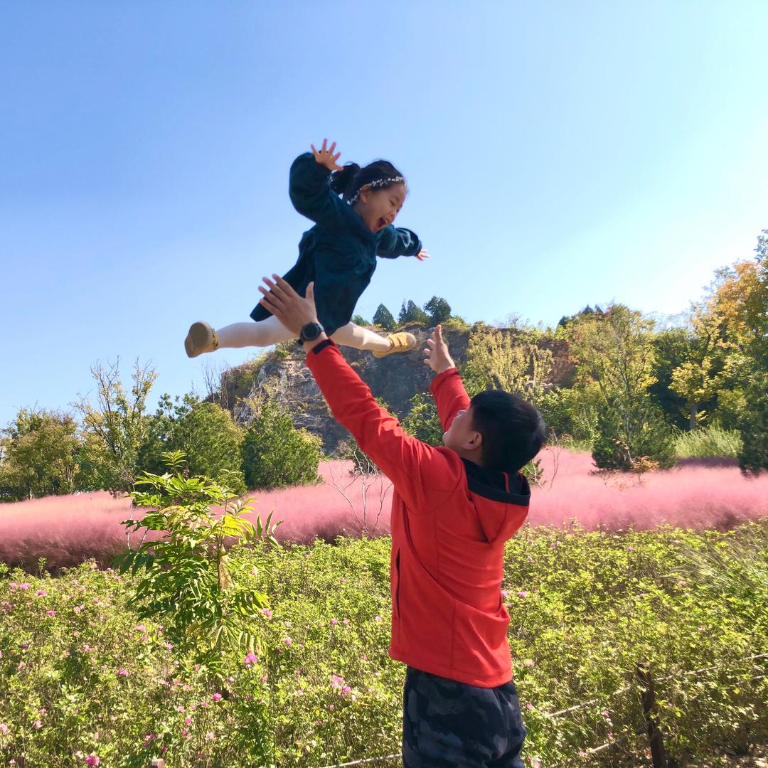 畅游蓝天的风筝