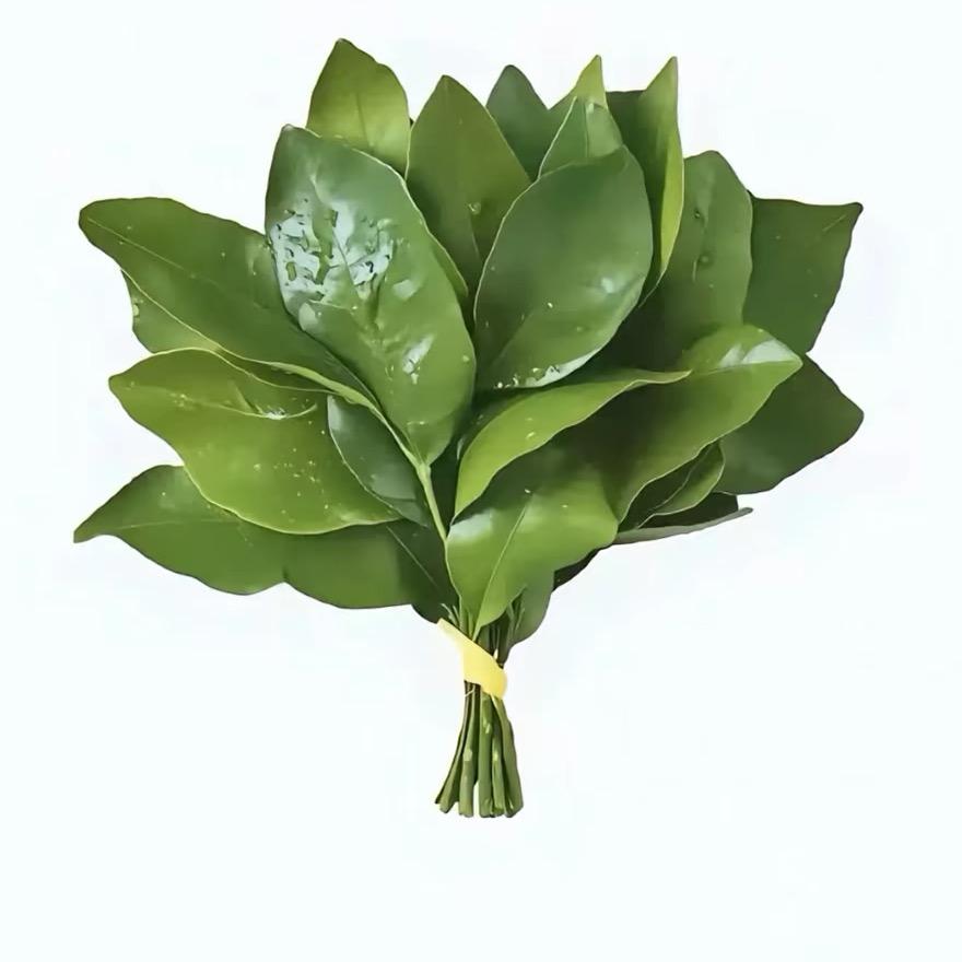 粽包头💞