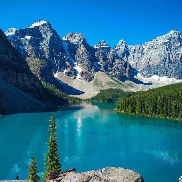 丰和祥茶业🍵🍵