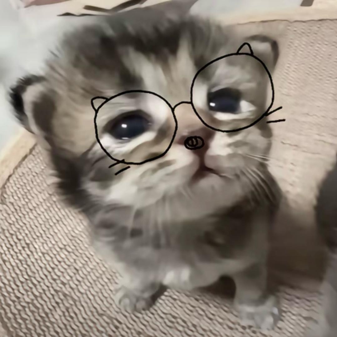 鸢尾花