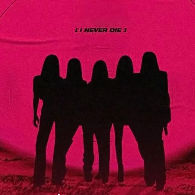 濮阳睿斯拜文化艺术精选铺