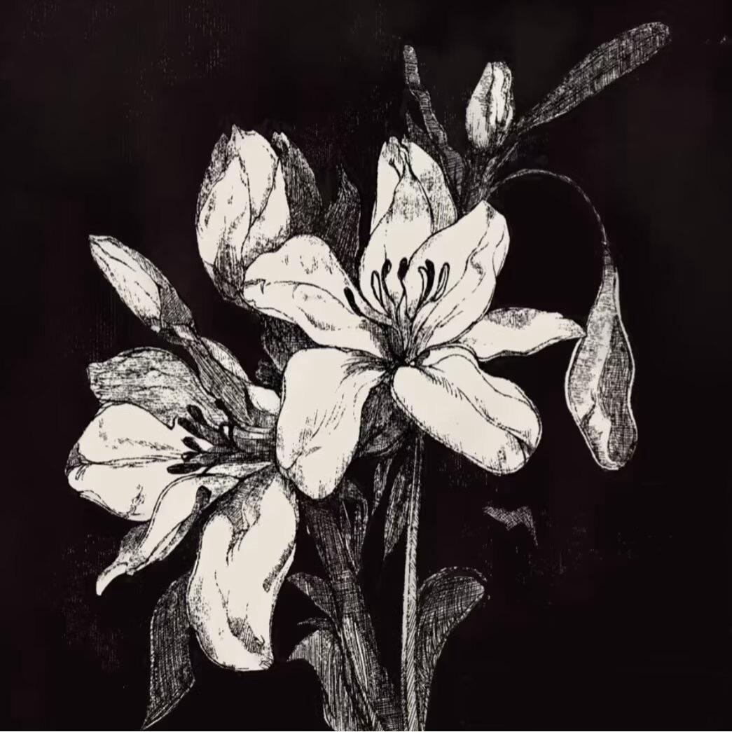 安稳 ㅤㅤㅤㅤㅤㅤㅤㅤ ㅤㅤㅤㅤㅤㅤㅤㅤ