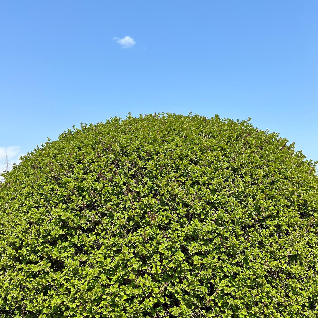 瑞哥爱吃喝