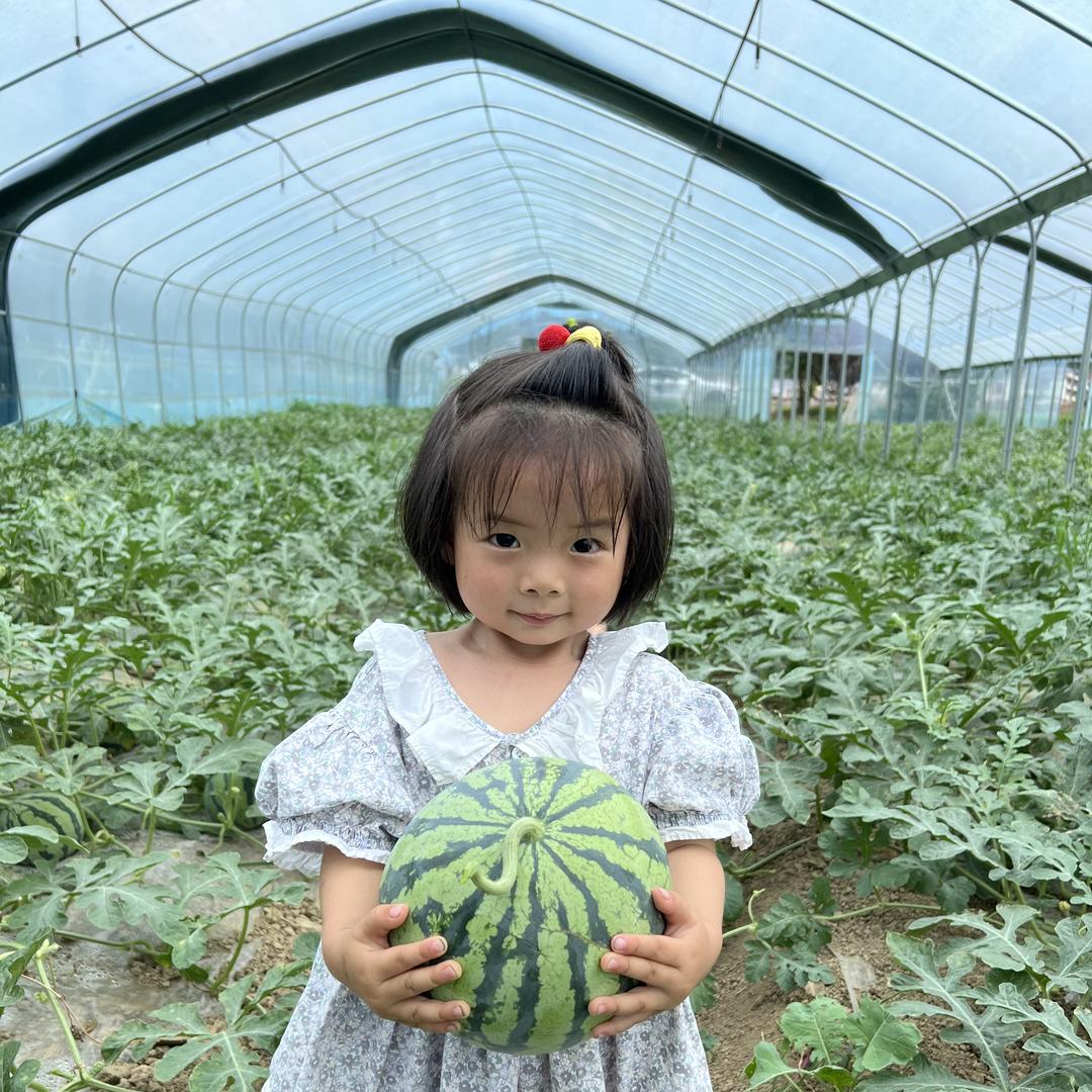 万和乡村CEO（山货甄选）