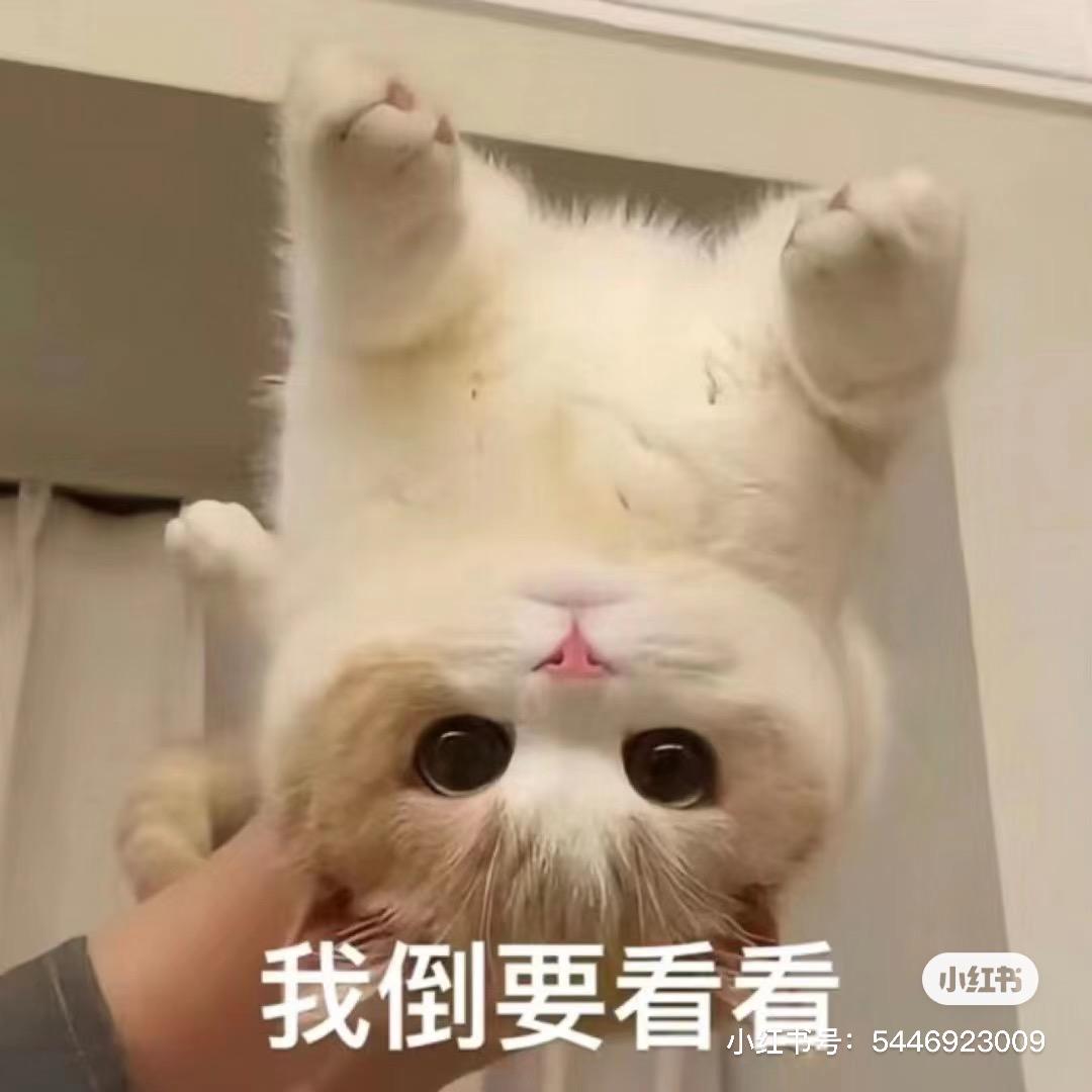 一个买卖美味的