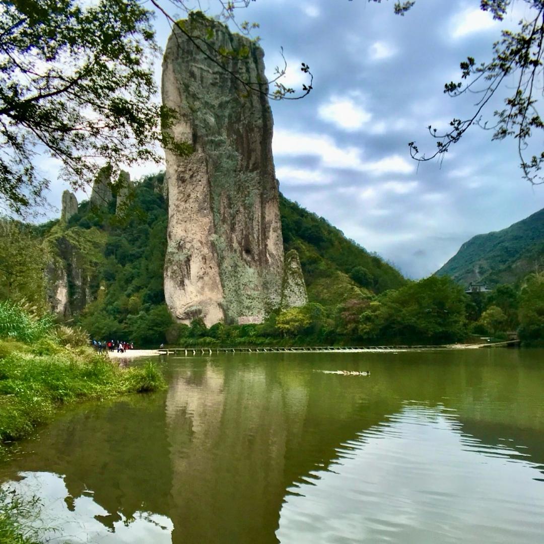 🎄🌴俧🎍孴🪴🎋