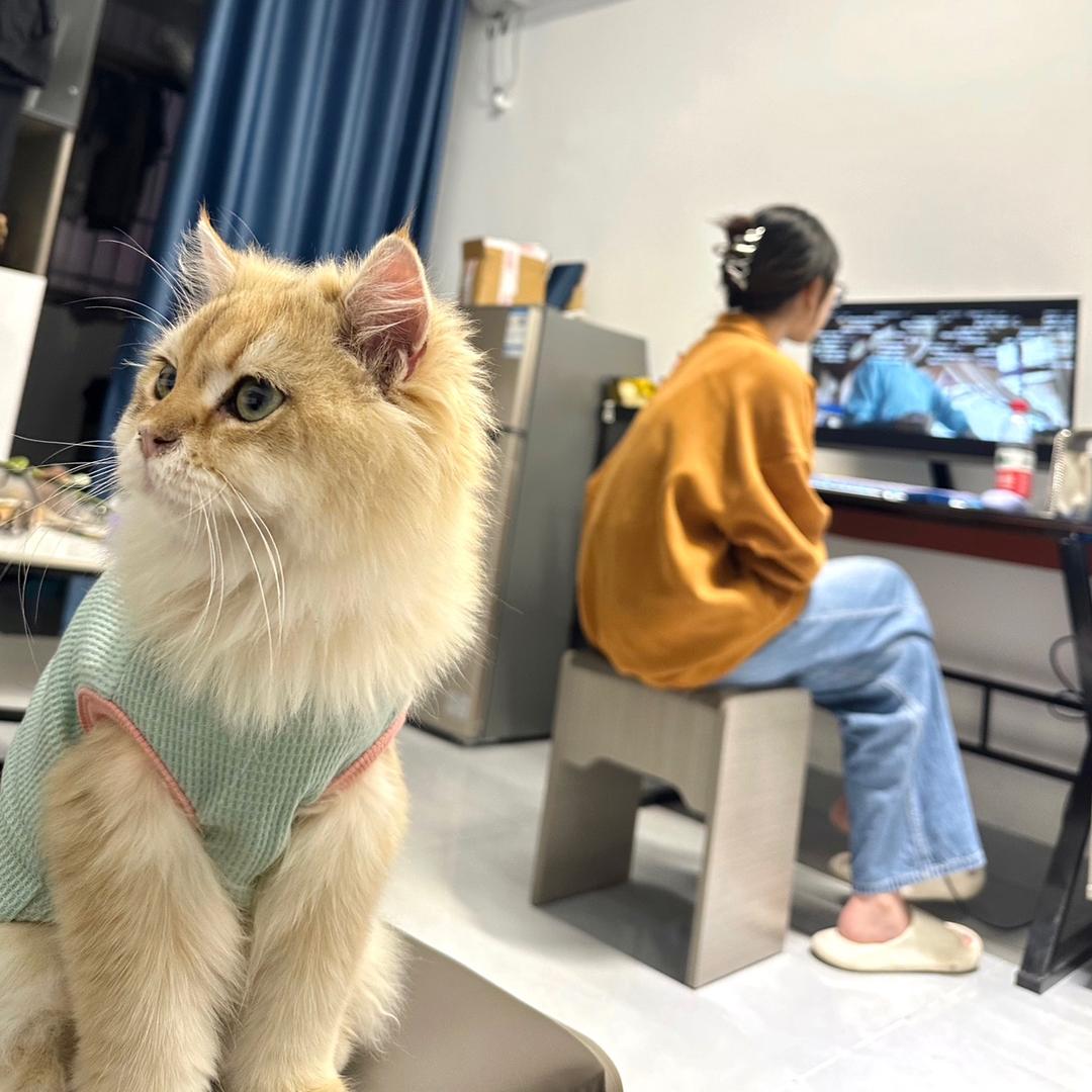 瑶瑶zds
