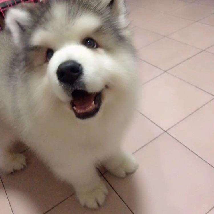 乌木维尔韦恩耶尔吐温威穆本偶萨斯（酋长）