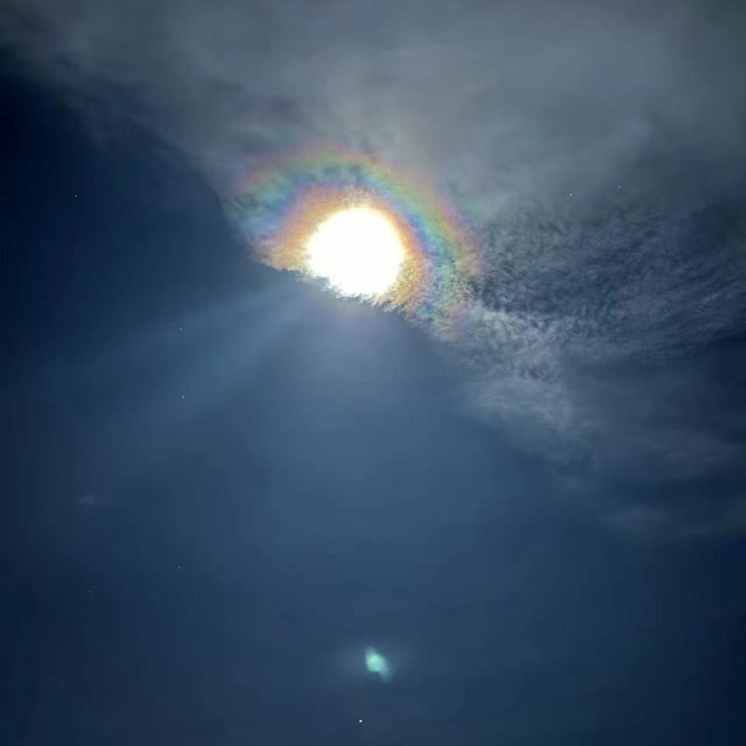 好大一棵树