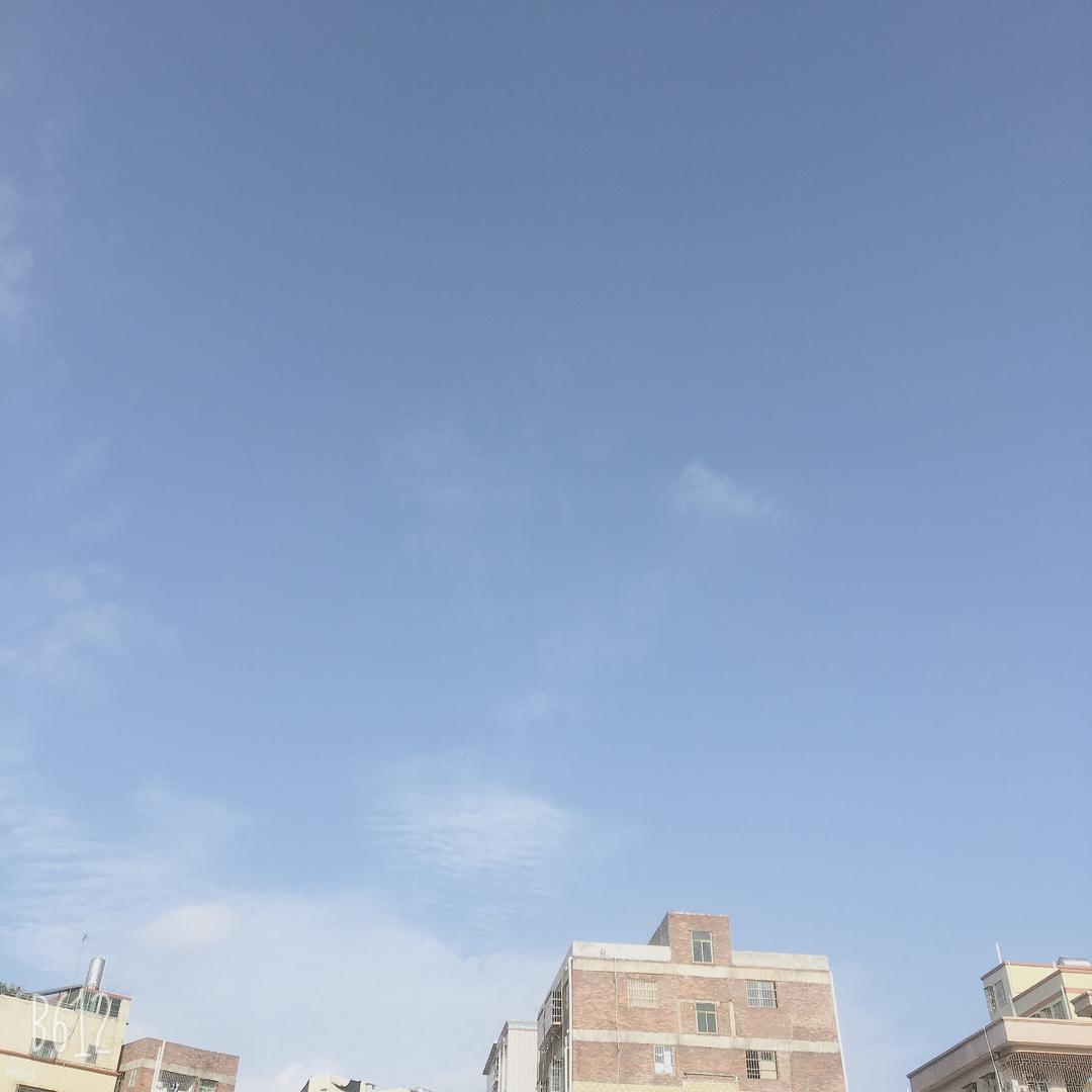 兔、八哥