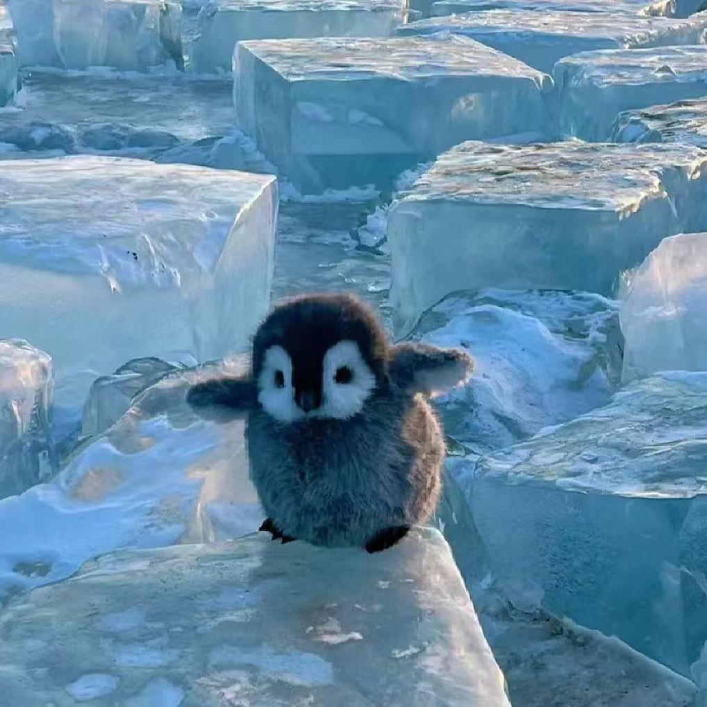 ice..