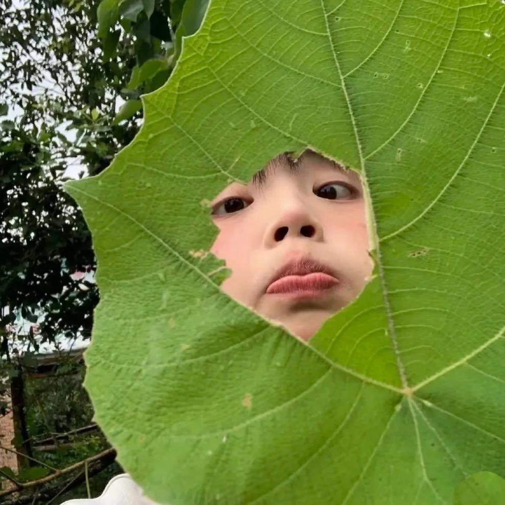 LiLi的日记本
