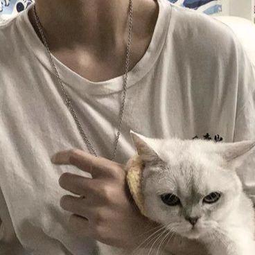 子衿睡不醒ヾ