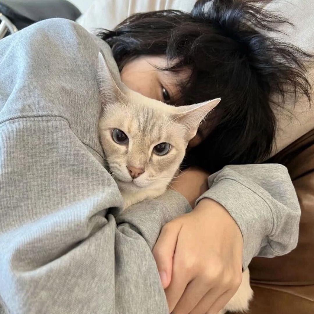 小🐟（破碎版）